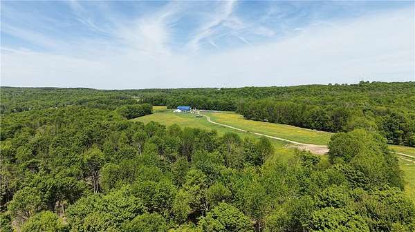 97 Acres of Land with Home for Sale in McDonough, New York