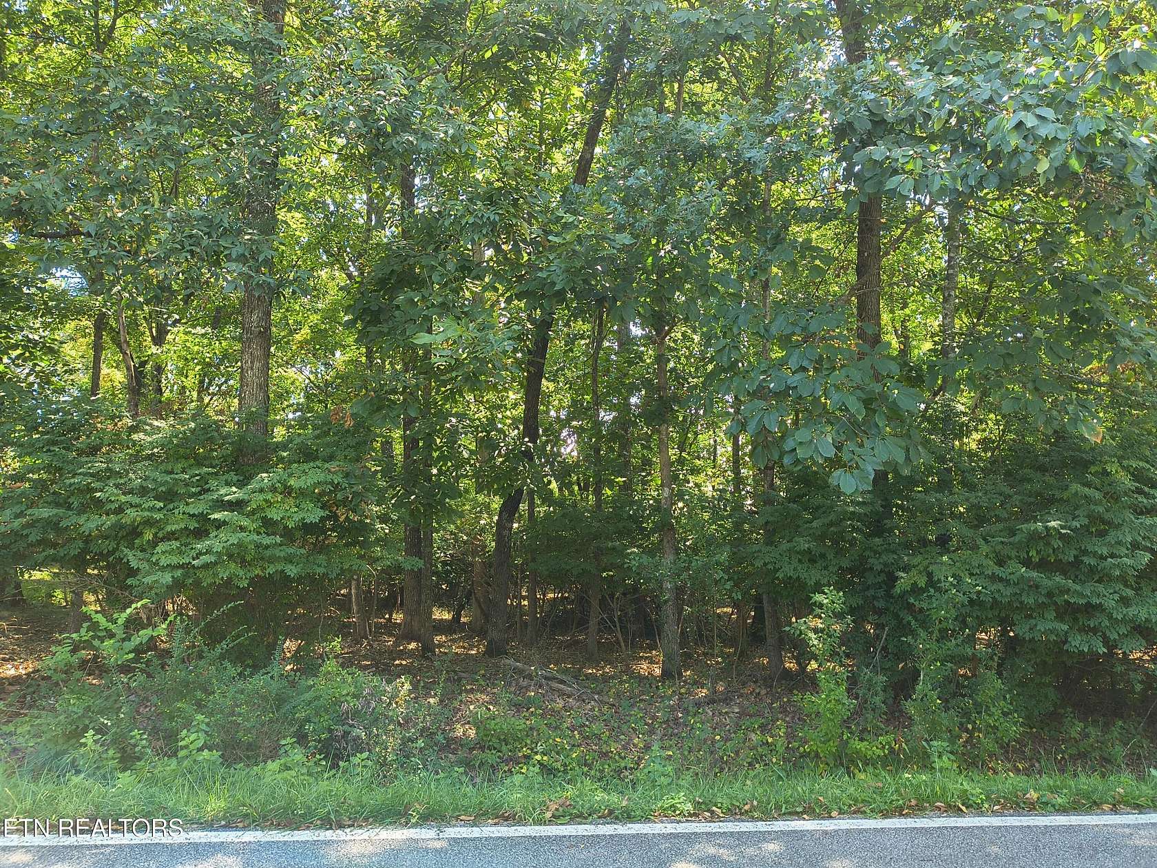 0.25 Acres of Residential Land for Sale in Crossville, Tennessee