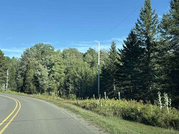 14 Acres of Land for Sale in Crystal Falls, Michigan
