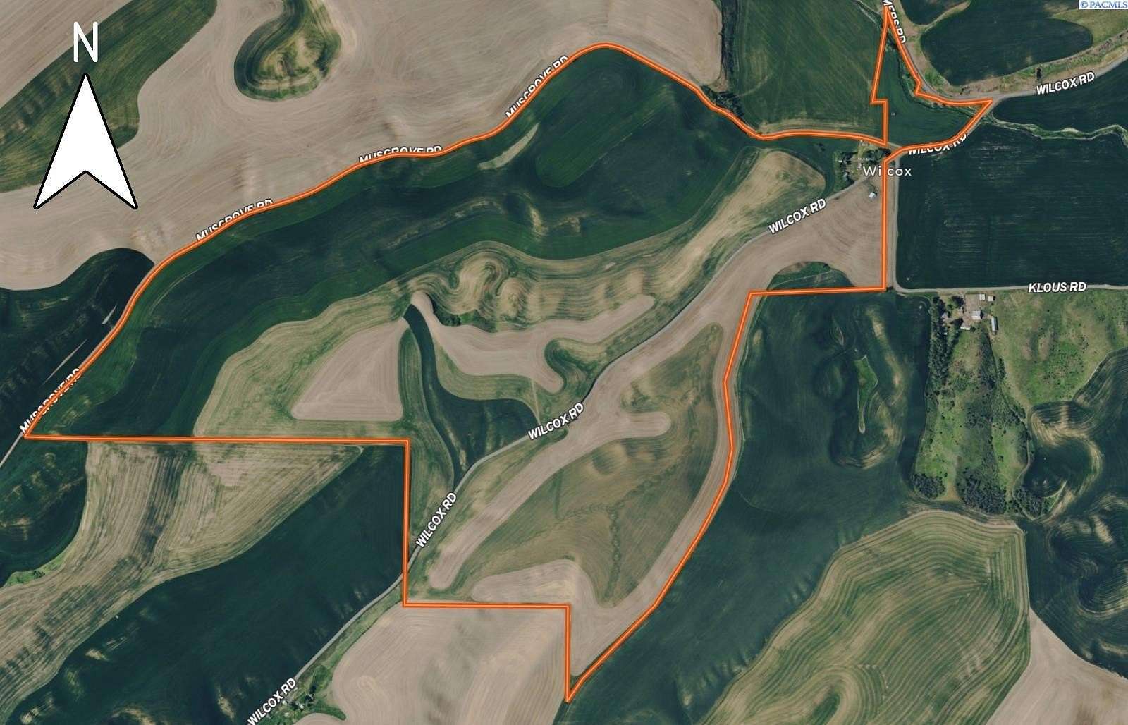 422 Acres of Agricultural & Residential Land for Auction in Colfax, Washington