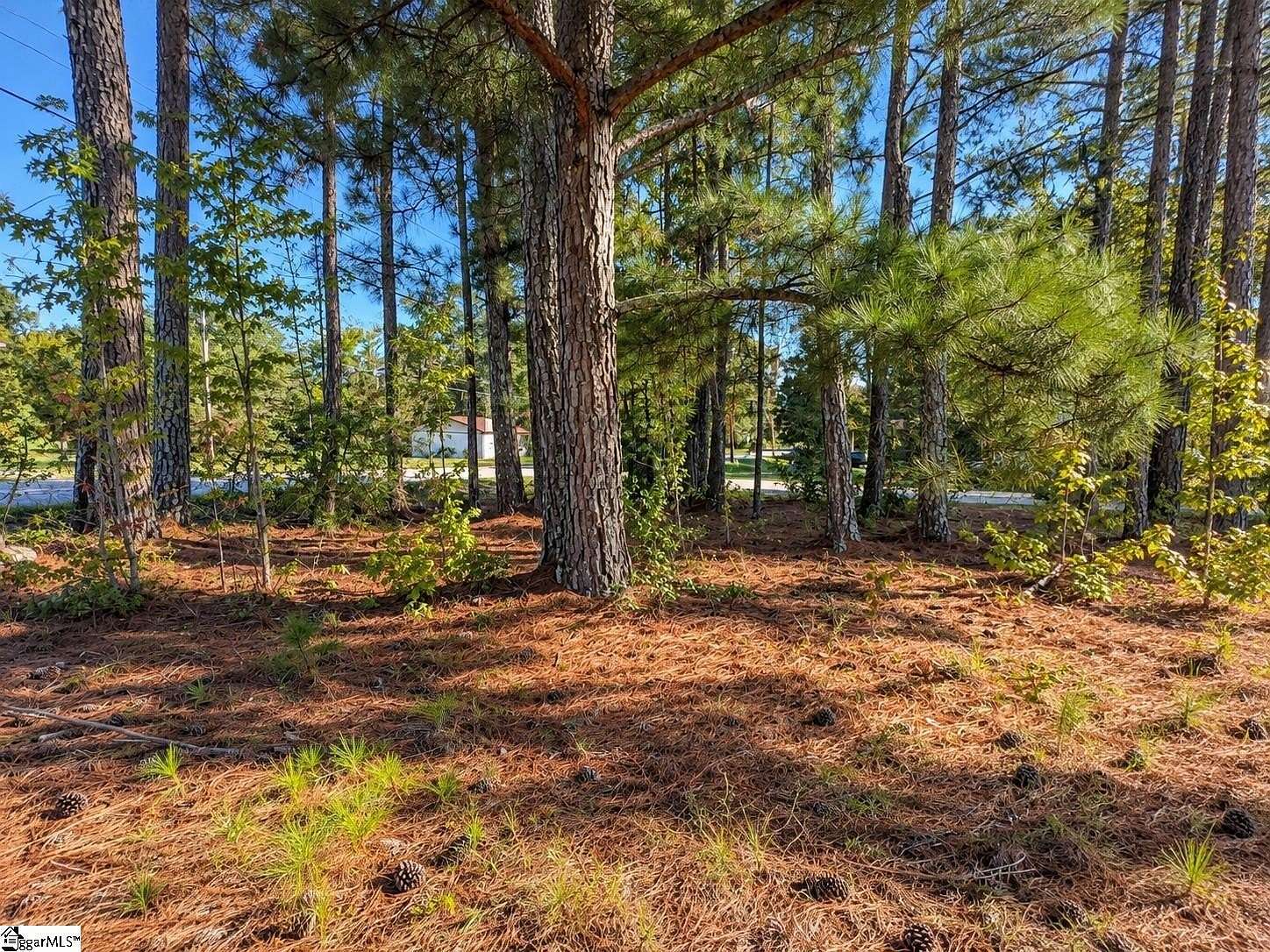 0.2 Acres of Land for Sale in Clinton, South Carolina