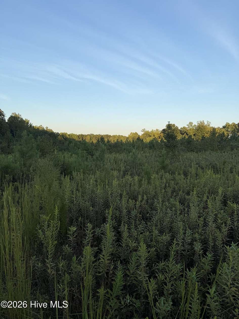 12 Acres of Land for Sale in Spring Hope, North Carolina