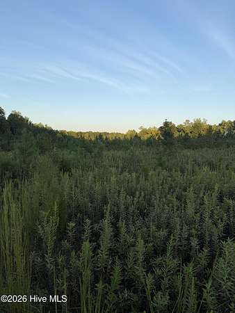 12 Acres of Land for Sale in Spring Hope, North Carolina