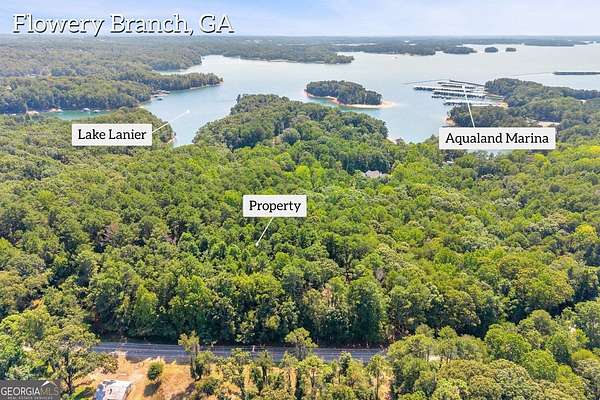 19.6 Acres of Land for Sale in Flowery Branch, Georgia