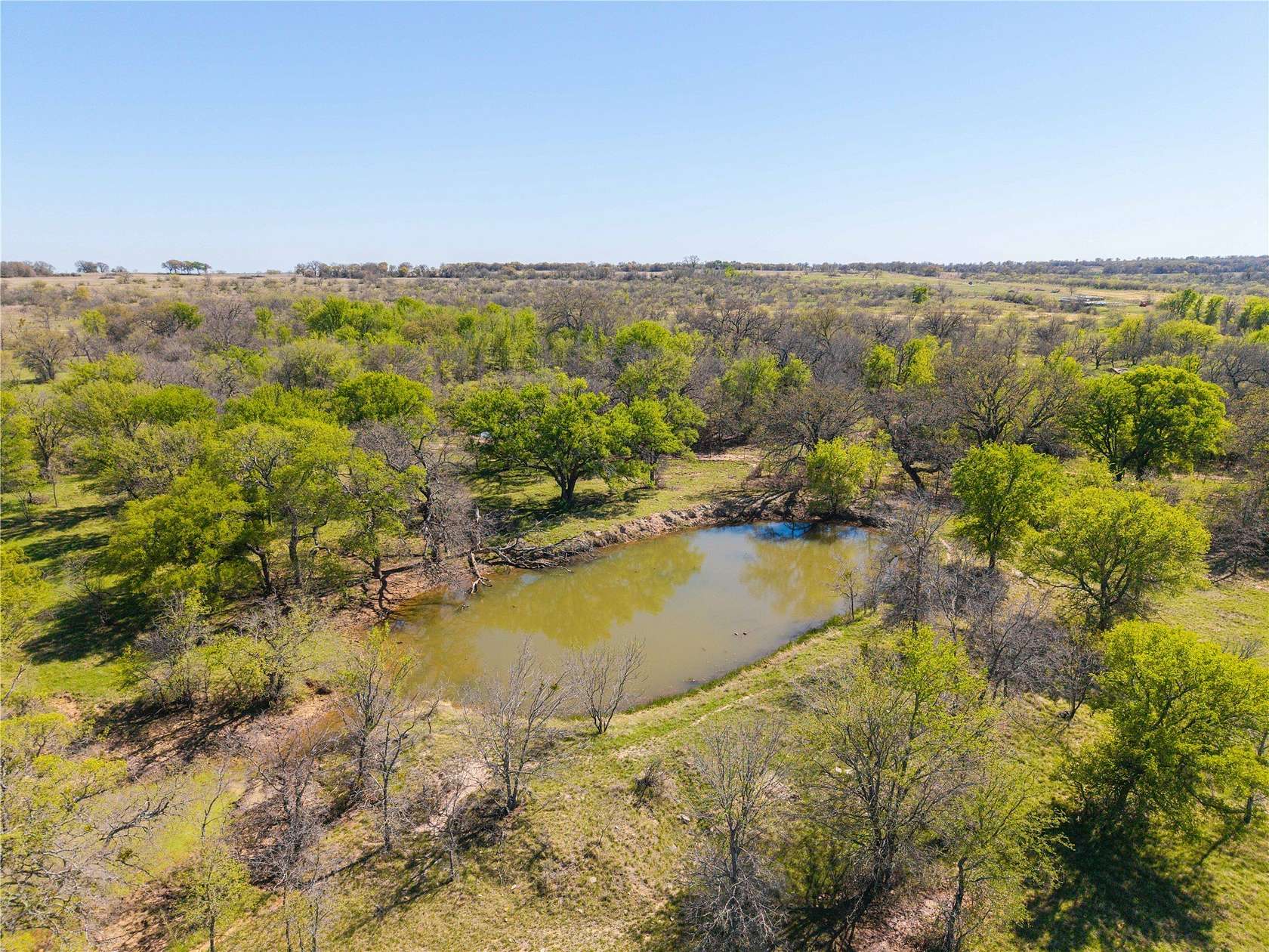 20 Acres of Recreational Land for Sale in Gorman, Texas