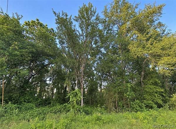 1.7 Acres of Residential Land for Sale in Inverness, Florida