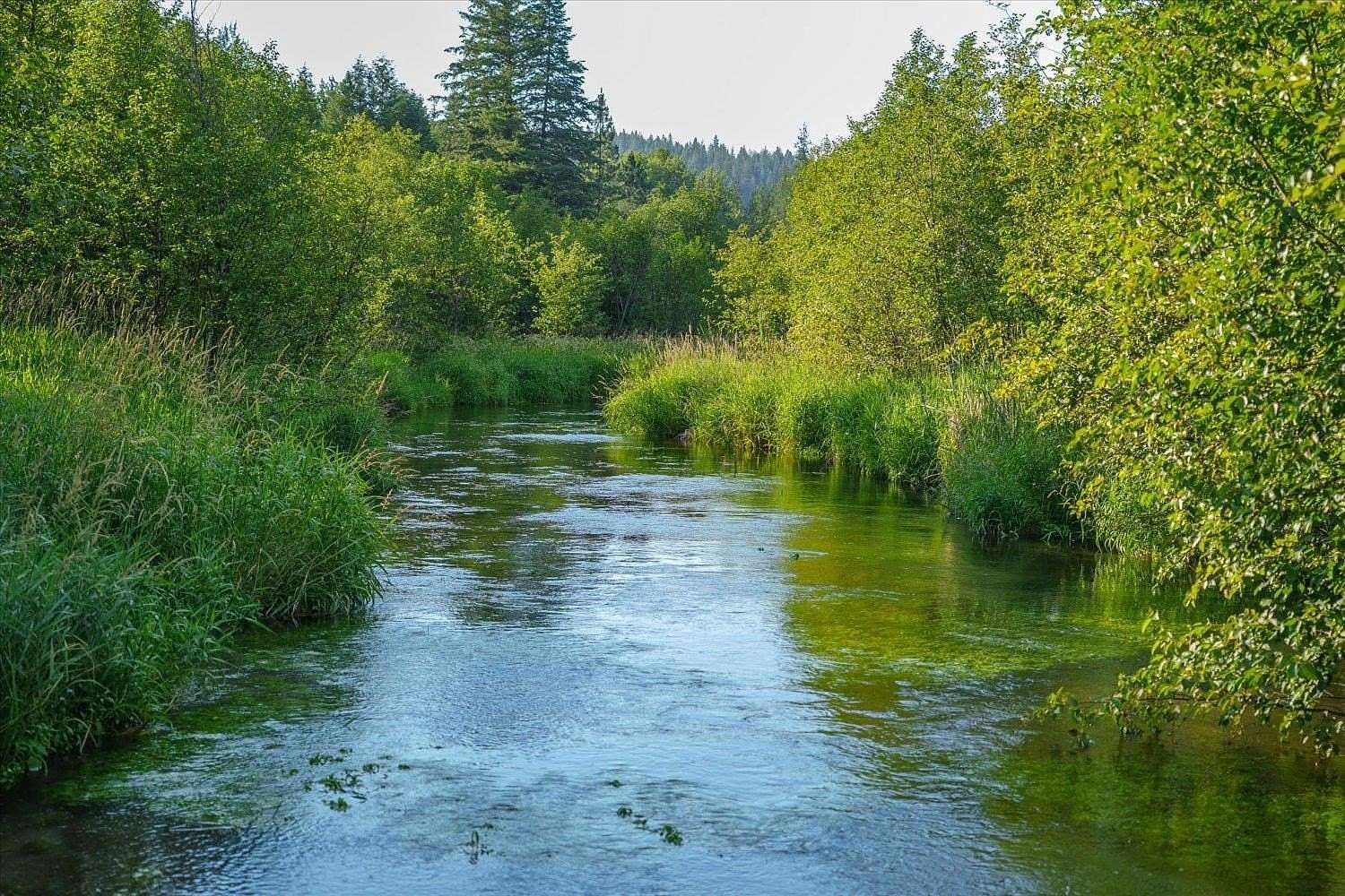 137 Acres of Recreational & Residential Land for Sale in Newport, Washington