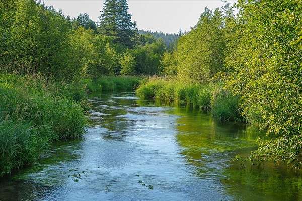 137 Acres of Recreational & Residential Land for Sale in Newport, Washington