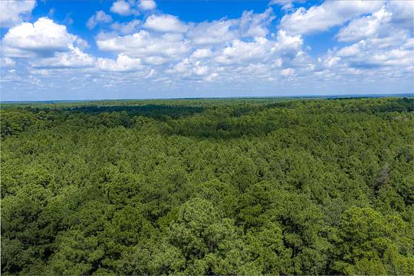37.3 Acres of Recreational Land for Sale in Kennard, Texas
