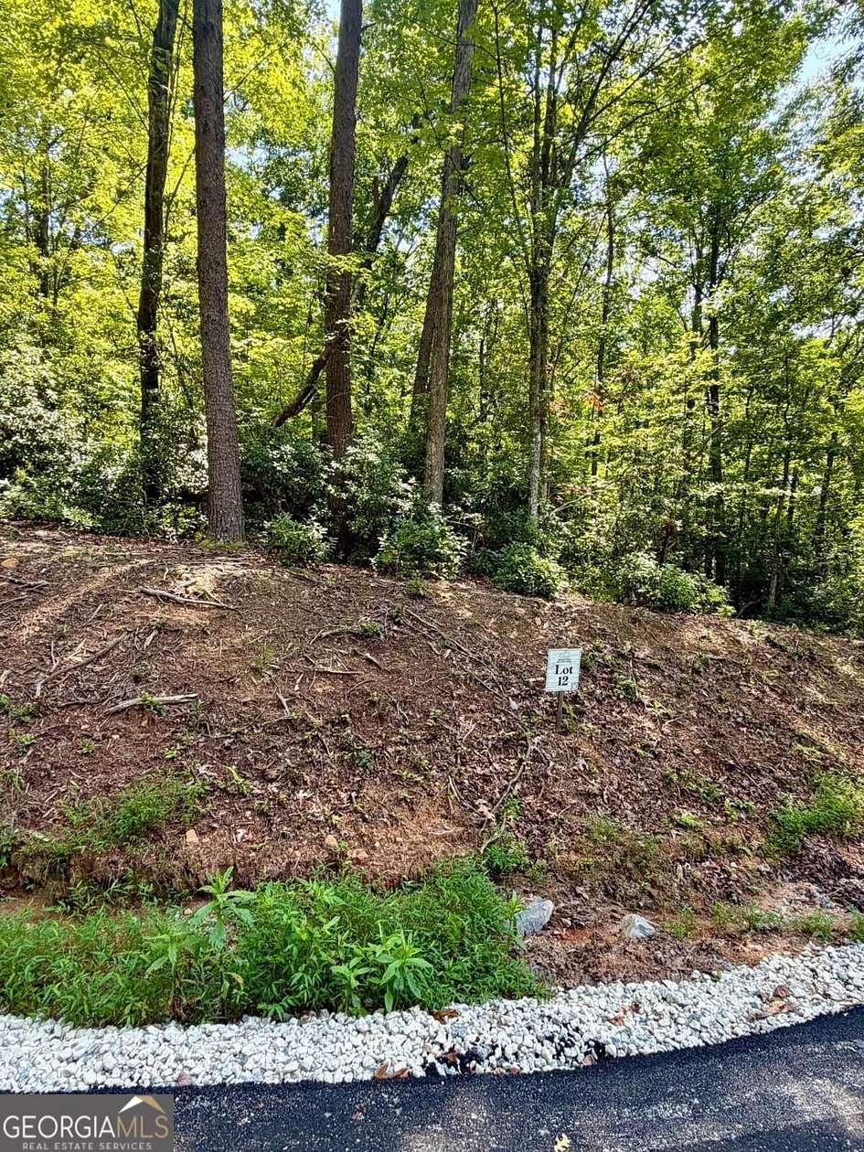 1.63 Acres of Land for Sale in Blue Ridge, Georgia