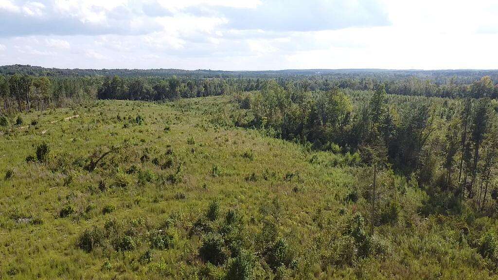 4.5 Acres of Land for Sale in Scottsburg, Virginia