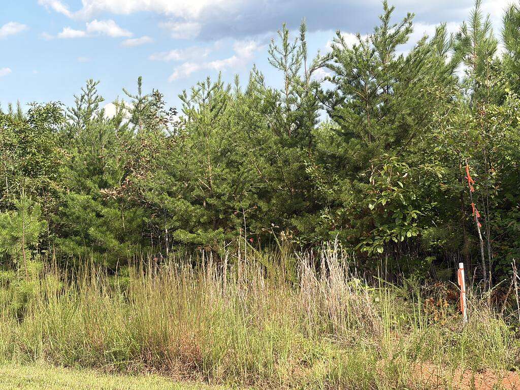 4 Acres of Land for Sale in Scottsburg, Virginia