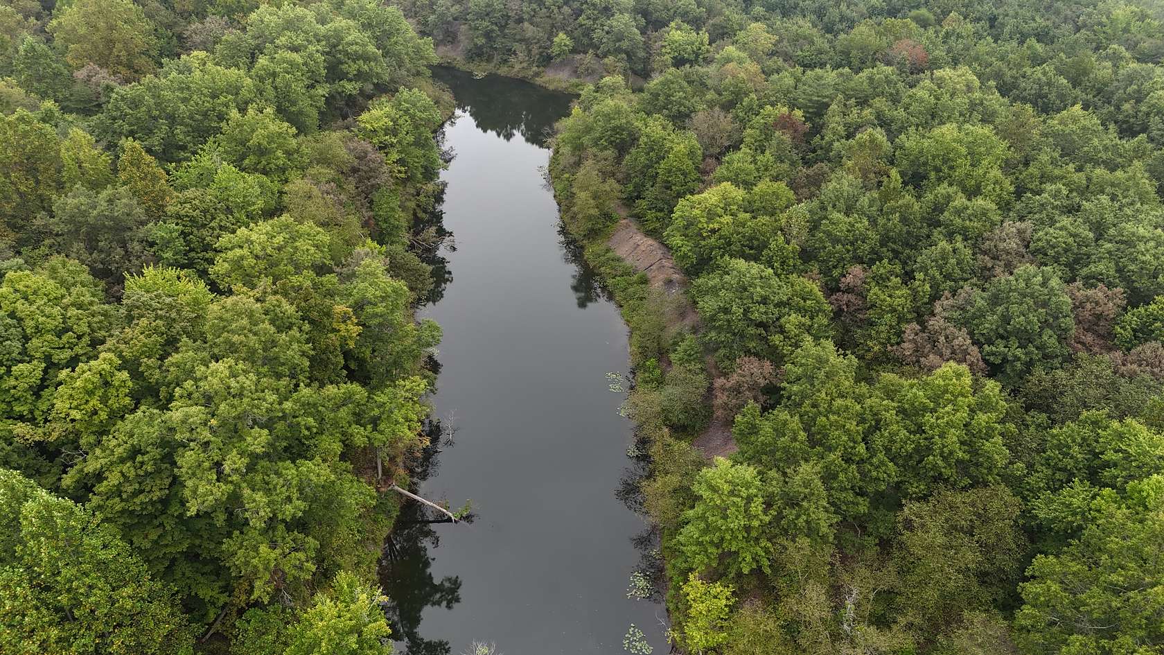 29.5 Acres of Land for Sale in Winslow, Indiana