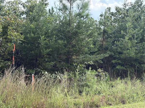 3 Acres of Land for Sale in Scottsburg, Virginia