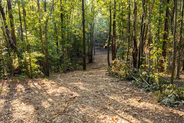 142 Acres of Land for Sale in Tyler, Texas