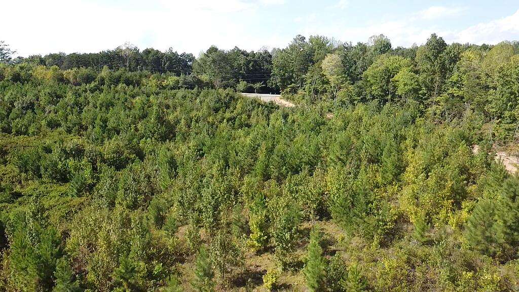 3 Acres of Land for Sale in Scottsburg, Virginia