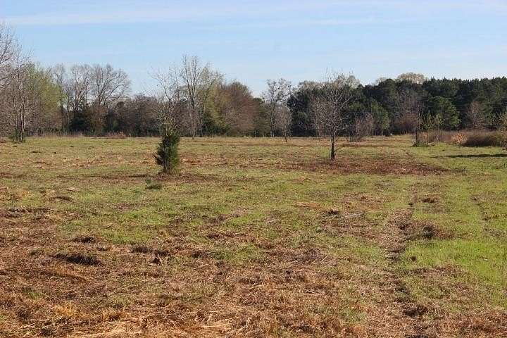 6 Acres of Residential Land for Sale in Harleton, Texas
