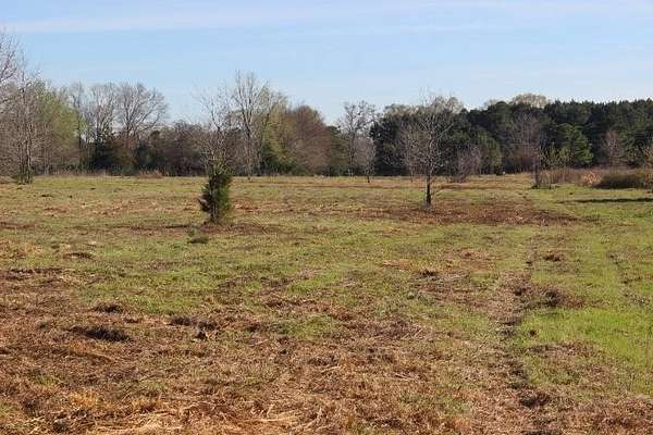 6 Acres of Residential Land for Sale in Harleton, Texas