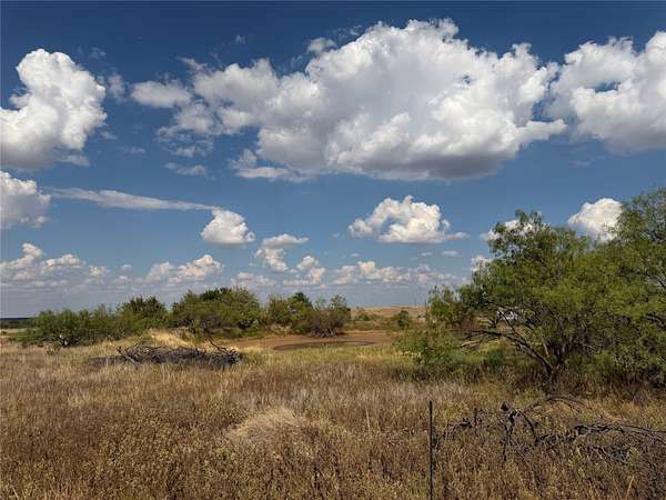 10.3 Acres of Land for Sale in Bellevue, Texas