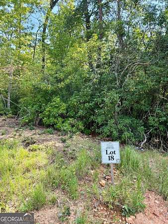 2 Acres of Land for Sale in Blue Ridge, Georgia