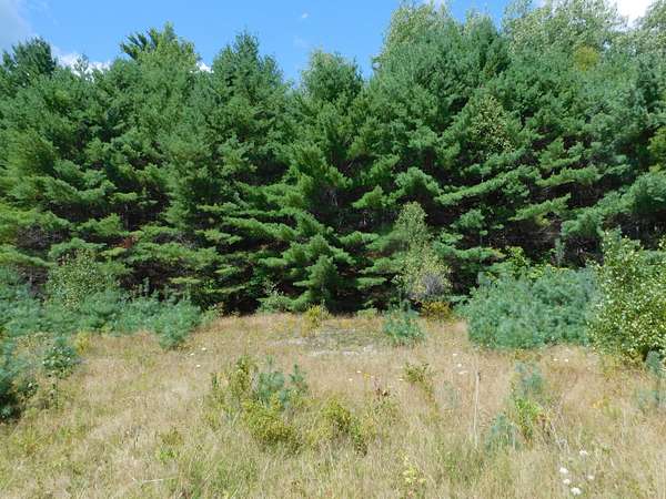 70 Acres of Recreational & Residential Land for Sale in Medway, Maine