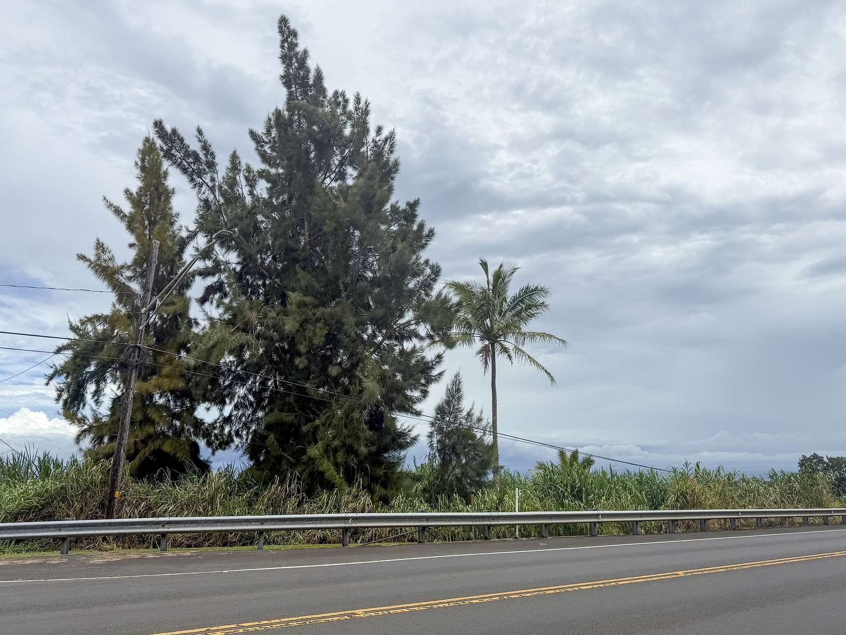 0.18 Acres of Residential Land for Sale in Honokaa, Hawaii