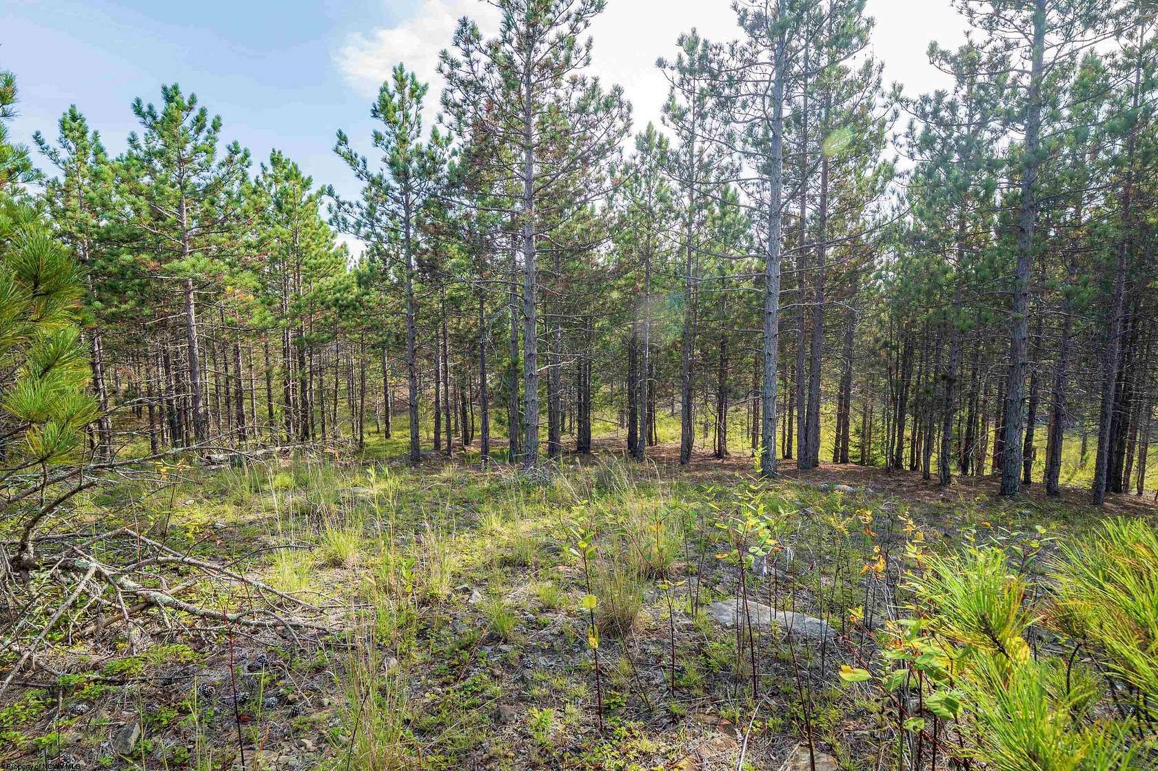 2 Acres of Residential Land for Sale in Davis, West Virginia