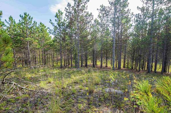 2 Acres of Residential Land for Sale in Davis, West Virginia
