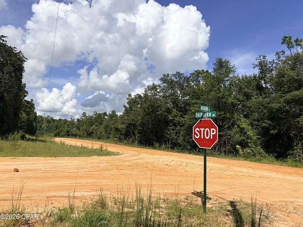 1 Acre of Residential Land for Sale in Alford, Florida
