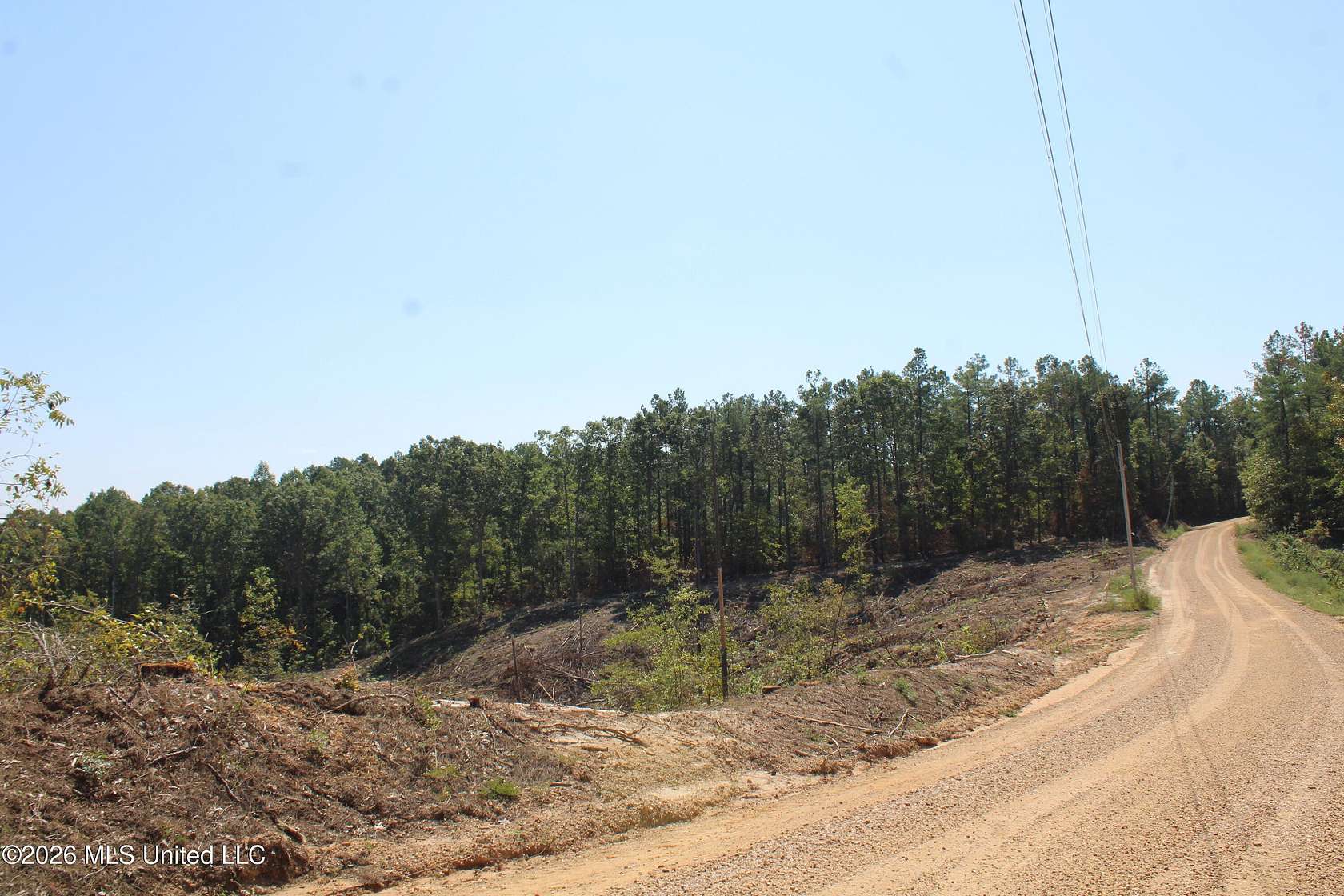 80 Acres of Land for Sale in Hickory Flat, Mississippi