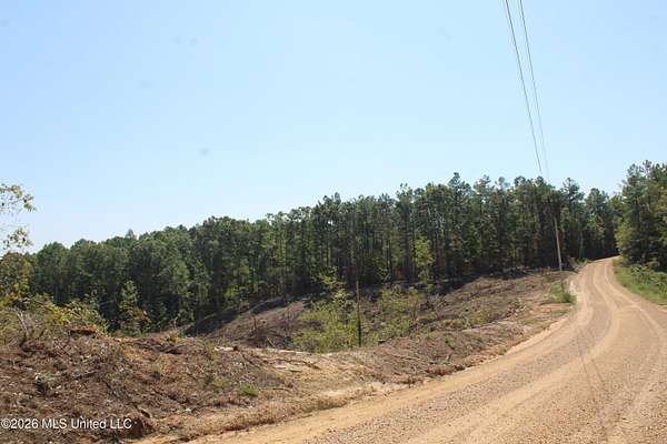 80 Acres of Land for Sale in Hickory Flat, Mississippi