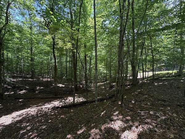 0.52 Acres of Land for Sale in Ellijay, Georgia