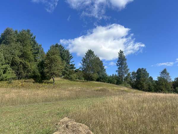 53.9 Acres of Recreational & Residential Land for Sale in Tustin, Michigan