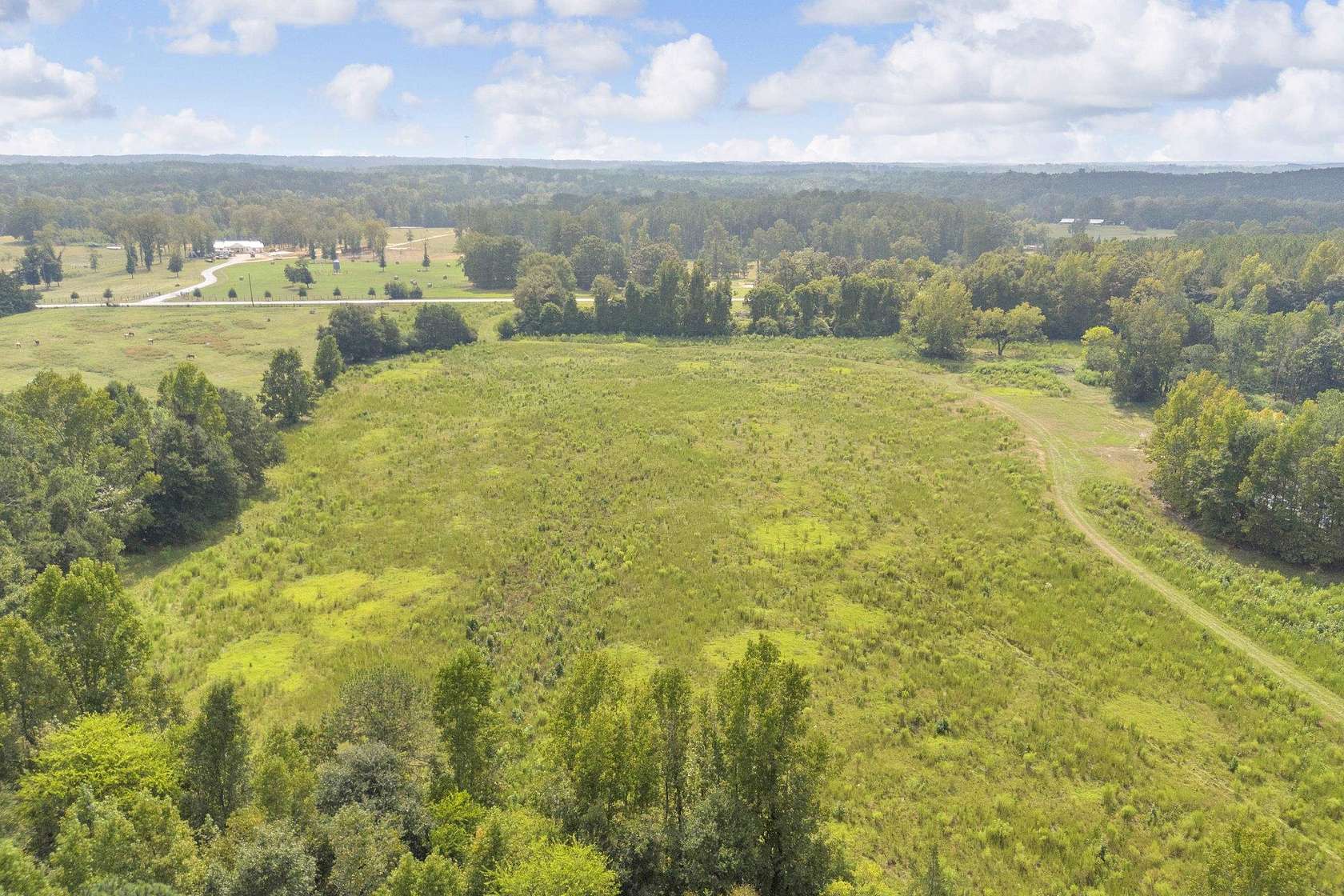 125 Acres of Land for Sale in Greensboro, Georgia
