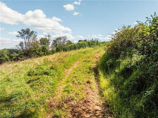 20 Acres of Recreational Land for Auction in Stone Creek, Ohio
