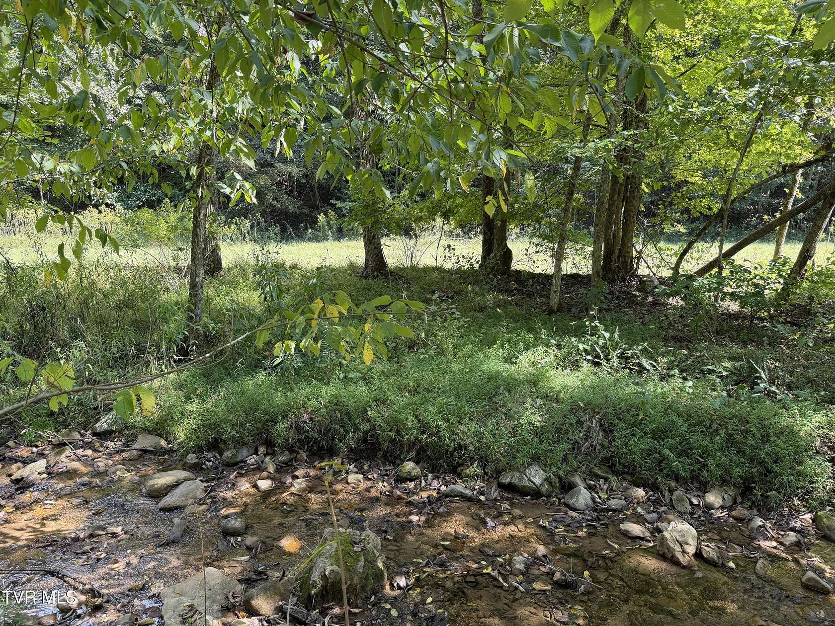 3.5 Acres of Land for Sale in Butler, Tennessee