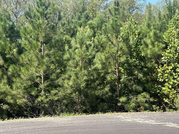 2.32 Acres of Residential Land for Sale in Spring Hope, North Carolina