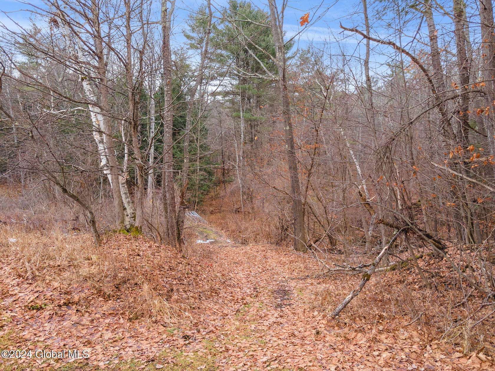 250 Acres of Recreational & Residential Land for Sale in Schoharie, New York