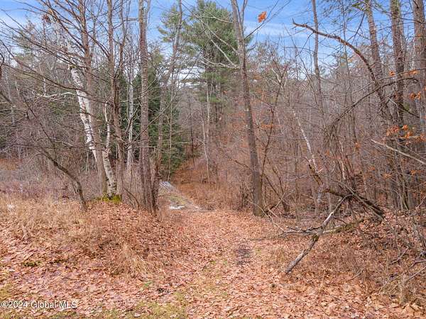 250 Acres of Recreational & Residential Land for Sale in Schoharie, New York