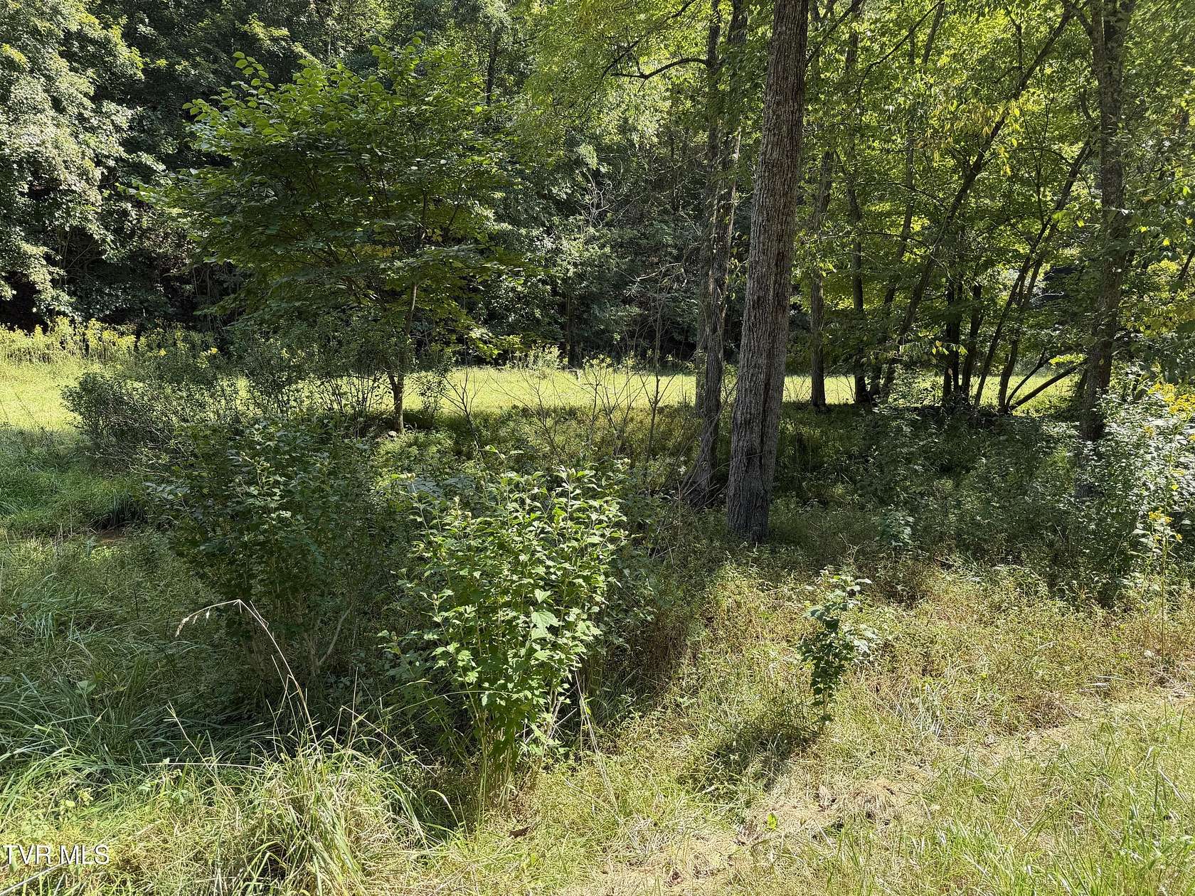 3.5 Acres of Land for Sale in Butler, Tennessee