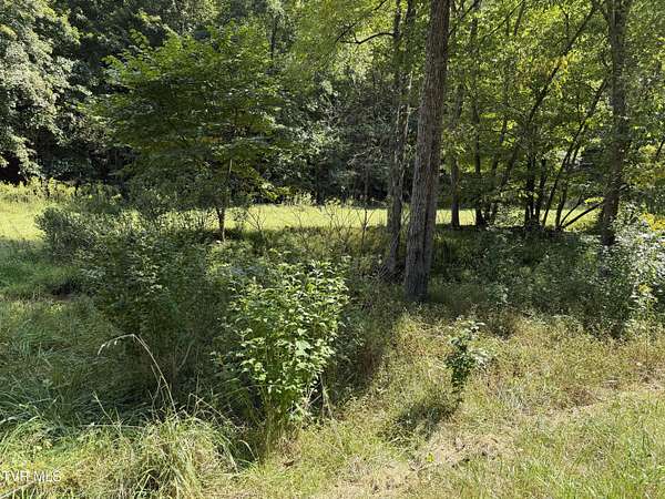3.5 Acres of Land for Sale in Butler, Tennessee
