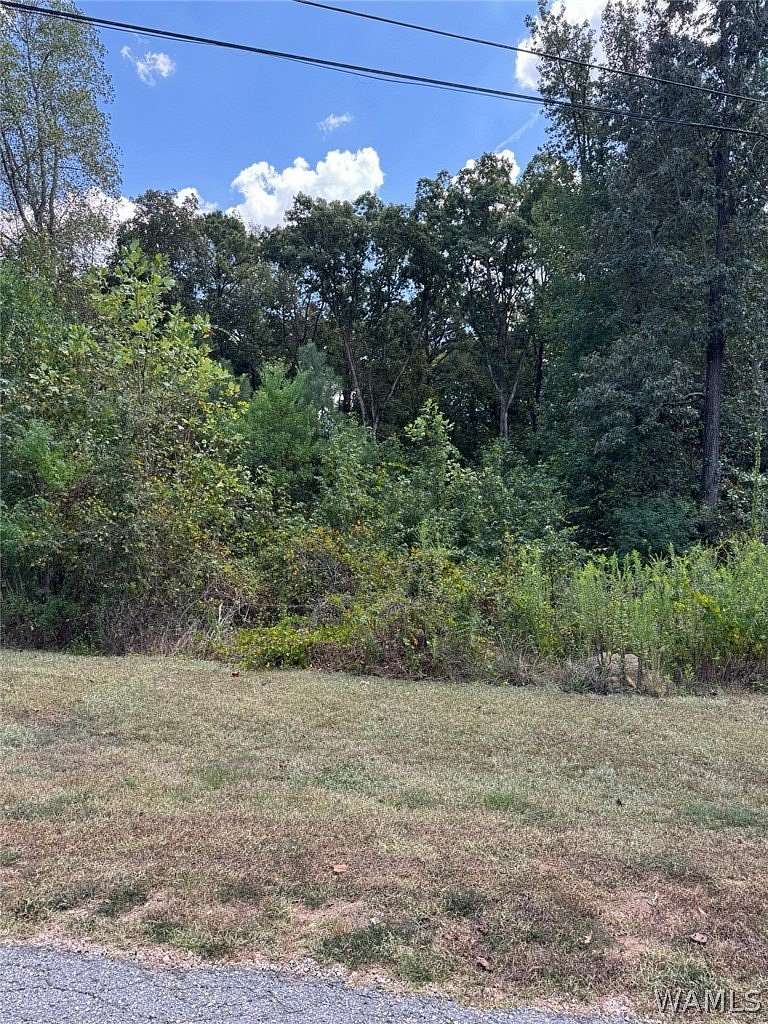 0.64 Acres of Residential Land for Sale in Northport, Alabama