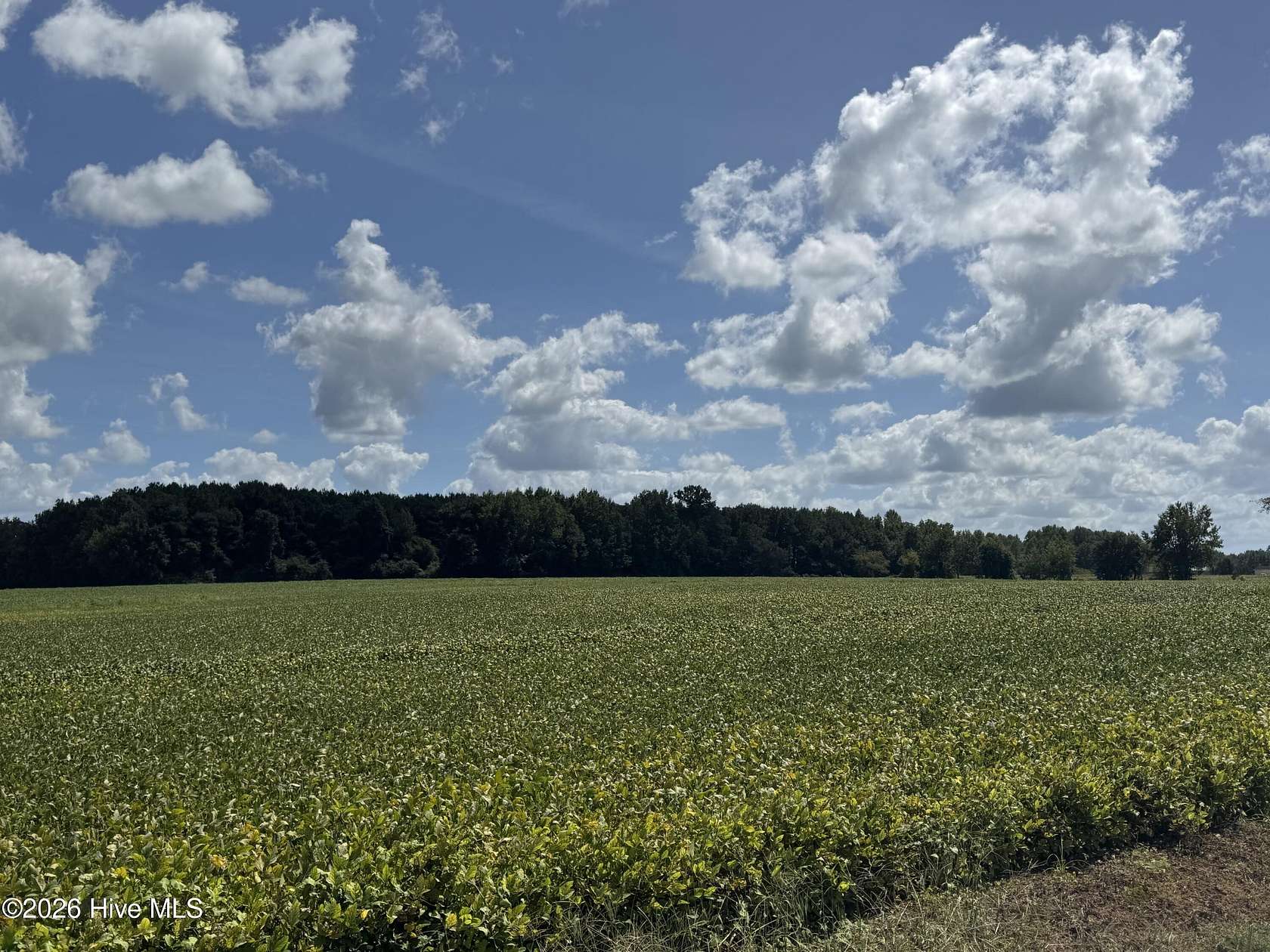 6.53 Acres of Residential Land for Sale in Clarendon, North Carolina
