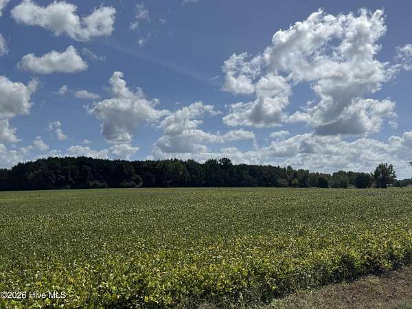 6.53 Acres of Residential Land for Sale in Clarendon, North Carolina