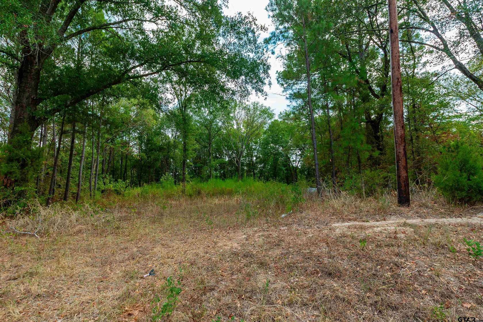 10 Acres of Recreational & Residential Land for Sale in Gilmer, Texas