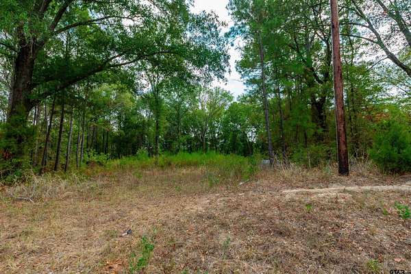10 Acres of Recreational & Residential Land for Sale in Gilmer, Texas