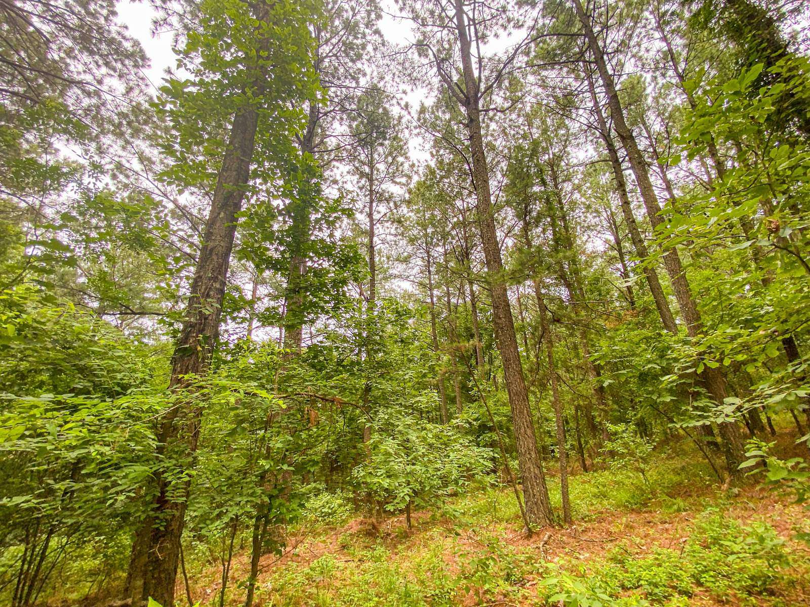 5 Acres of Land for Sale in Hochatown, Oklahoma
