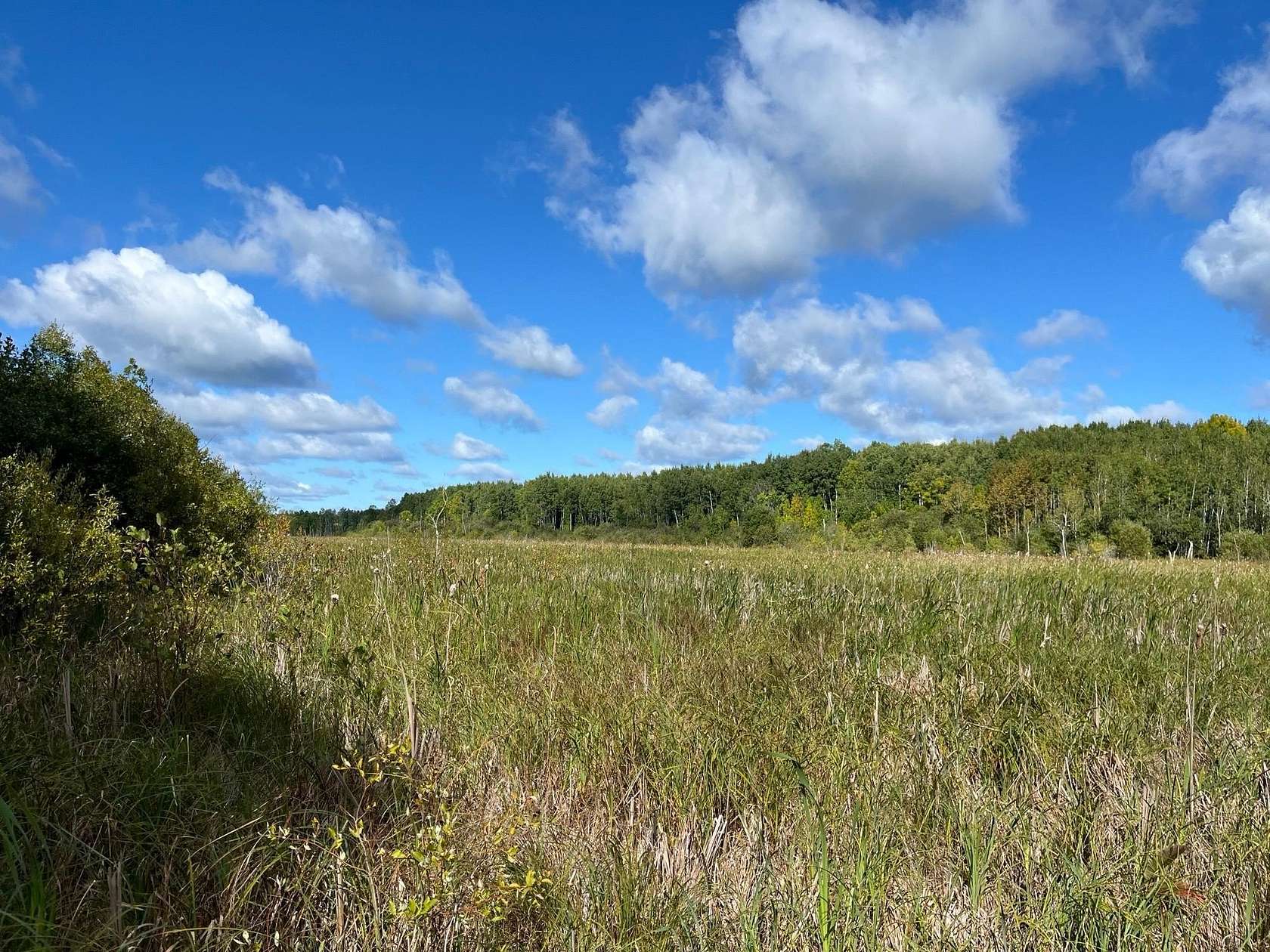 101 Acres of Recreational Land for Sale in International Falls, Minnesota