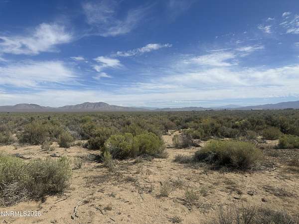 18.2 Acres of Land for Sale in Wellington, Nevada
