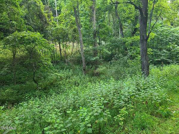 175 Acres of Recreational Land for Sale in Fort Blackmore, Virginia